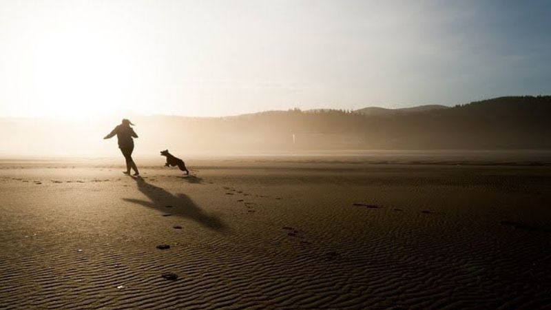 Person running with a dog along the beach at sunrise.