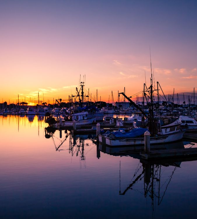 Fishing boats docked in a calm marina at sunset with purple and orange reflections on the water.
