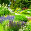 A colorful garden with flowering plants and a winding path.